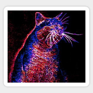 Colorful Cat Sticker